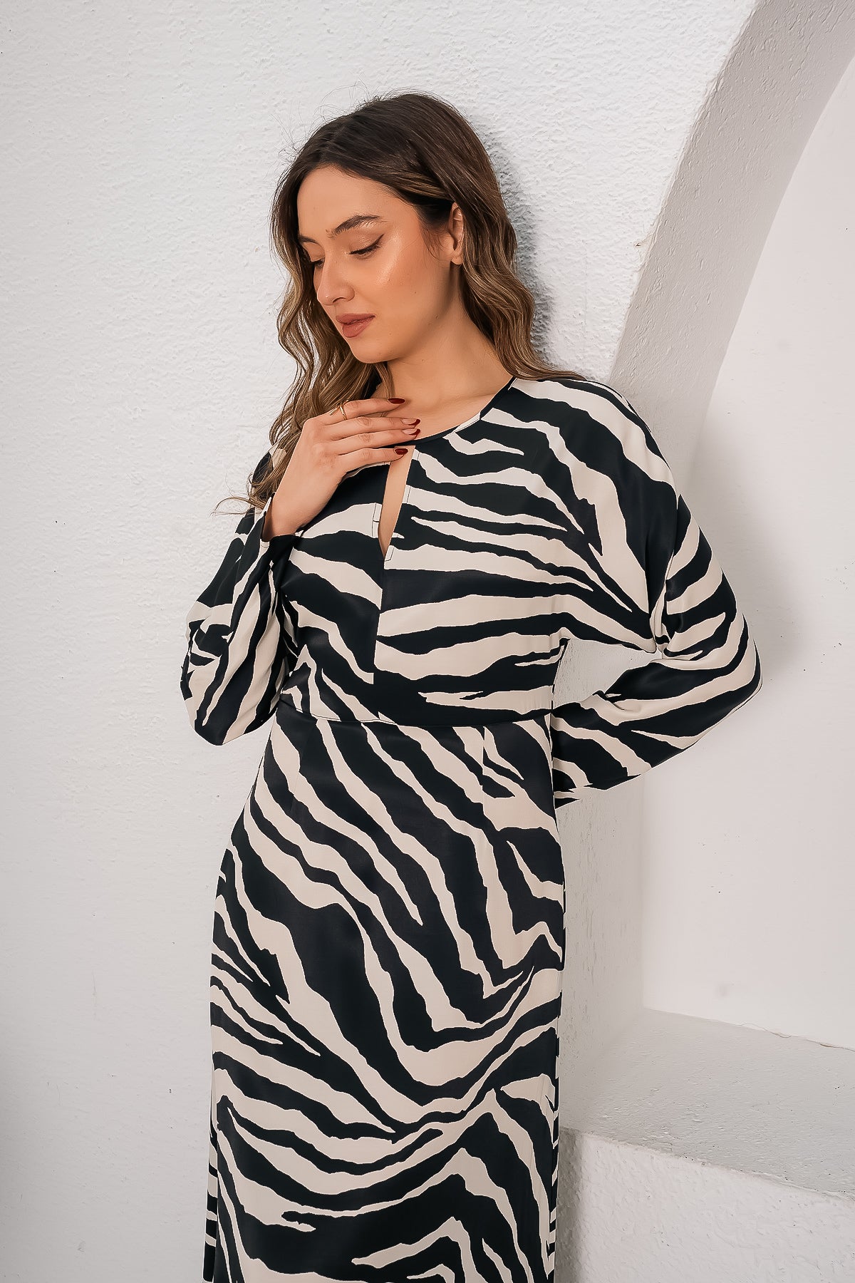 Zebra Desenli Uzun Kollu Midi Elbise